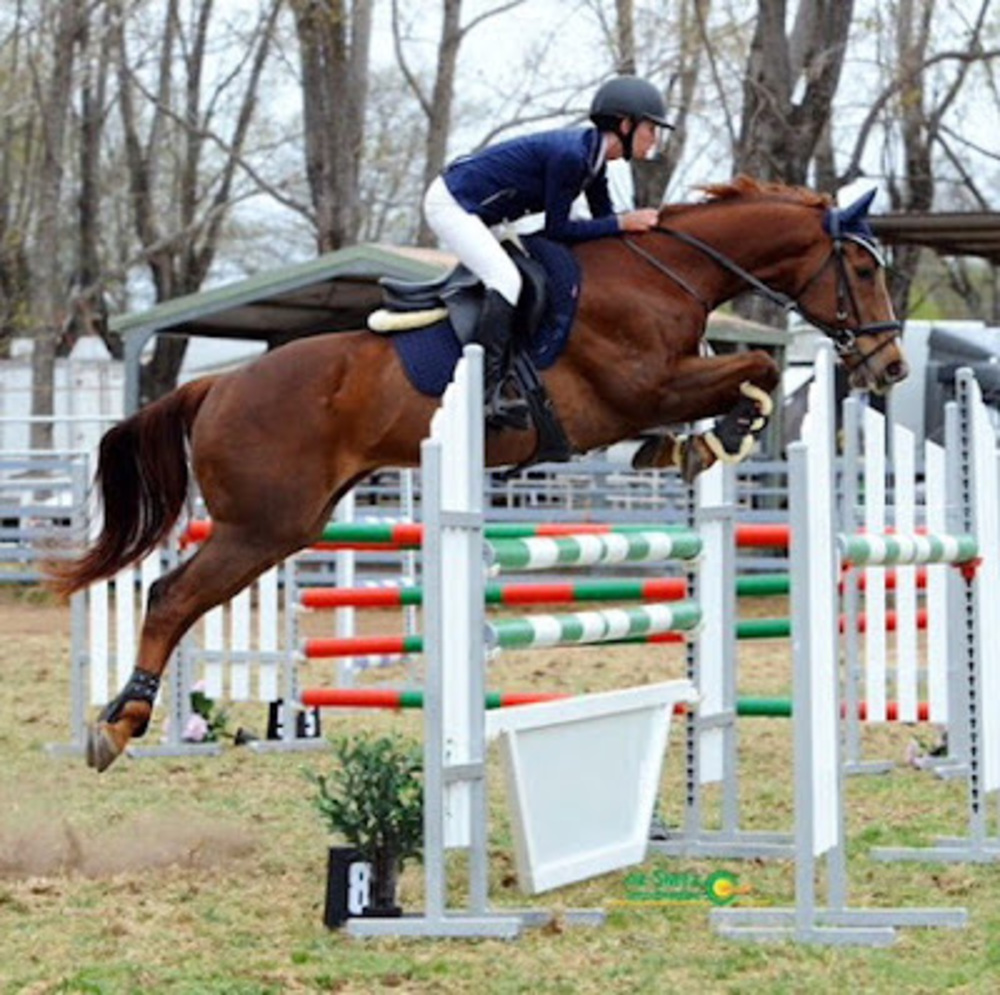 Meet your Posher, Paige